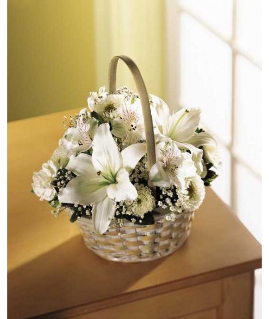 The Divinity Basket